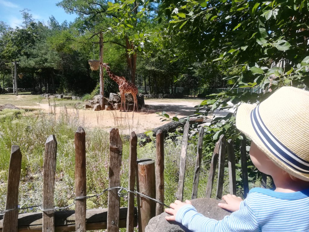 Tiergarten Nürnberg, Zoo in Mittelfranken, Ausflugstipp für Familien, mit Kindern verreisen, Sommerferien, Tipp für die Schulferien, Tiere und Kinder