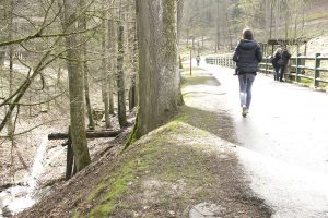 Ausflugstipps Franken mit Kindern und Jugendlichen, Familienausflug in Mittelfranken, Unterfranken und Oberfranken, Wildpark Hundshaupten in Egloffstein bei Forchheim in der Fränkischen Schweiz