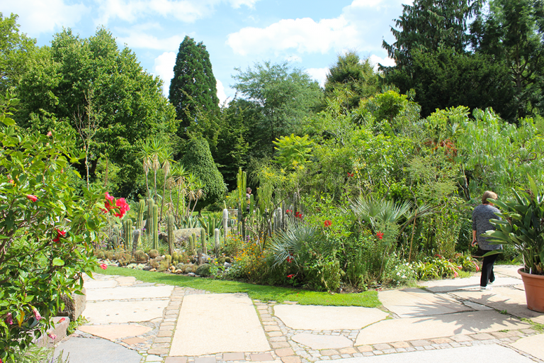 58+ Botanischer Garten Erlangen, Erfahren sie alles über den besuch