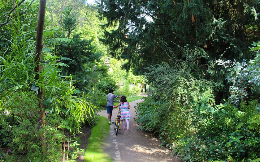 Botanischer Garten in Erlangen, Ausflugstipps in Mittelfranken, Franken mit Kindern, Natur mit Jugendlichen entdecken, Familienausflug in Franken