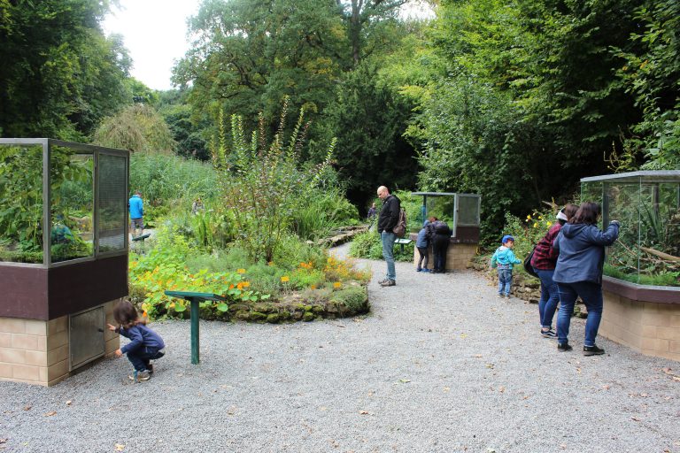 Froschkönig – Das Freiland-Aquarium und -Terrarium in Stein – Franken