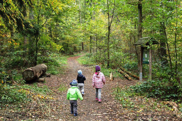 ErlebeBruderWald in Bamberg Franken mit Kindern