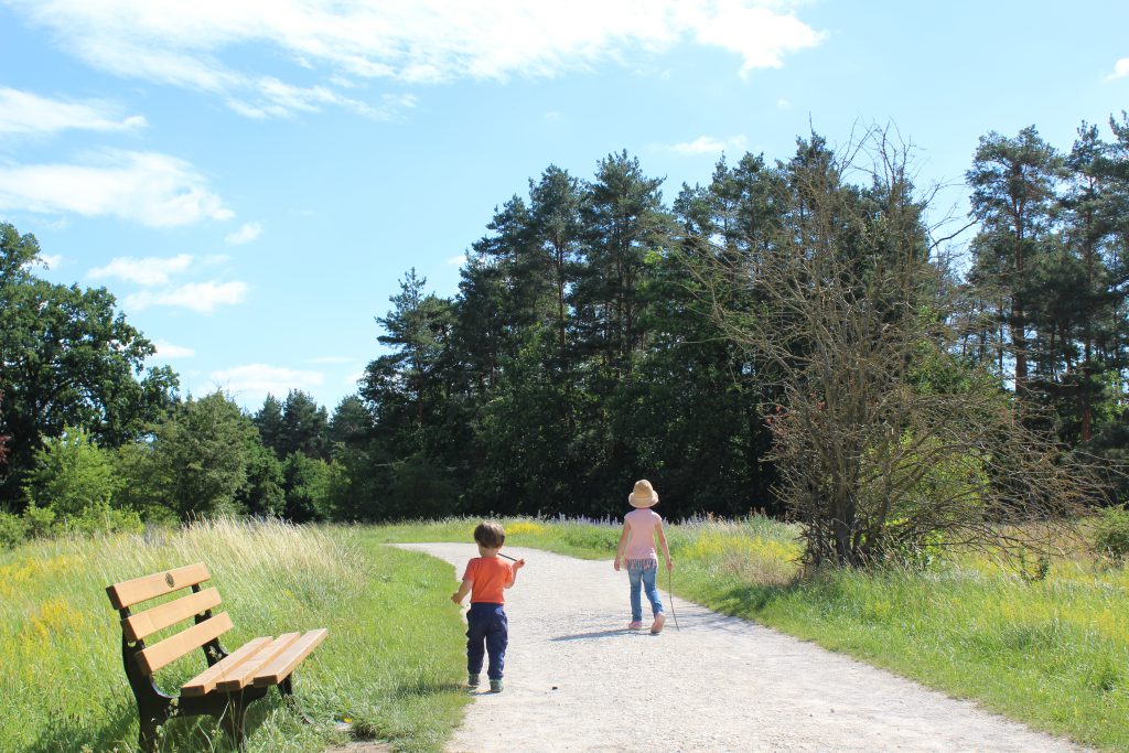 Familienausflug mit Kindern in den Hainberg bei Nürnberg, Fürth, Oberasbach, Spiel und Bolzplatz Oberasbach, Naturschutzgebiet in Franken mit Kindern