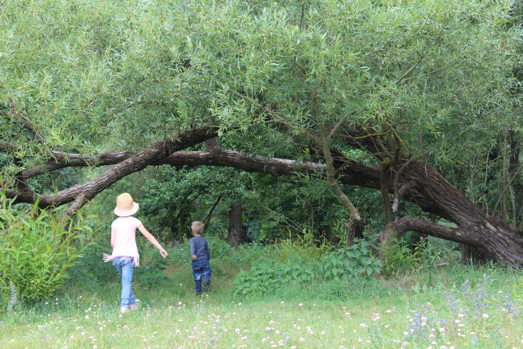 Familienausflug mit Kindern in den Hainberg bei Nürnberg, Fürth, Oberasbach, Spiel und Bolzplatz Oberasbach, Naturschutzgebiet in Franken mit Kindern