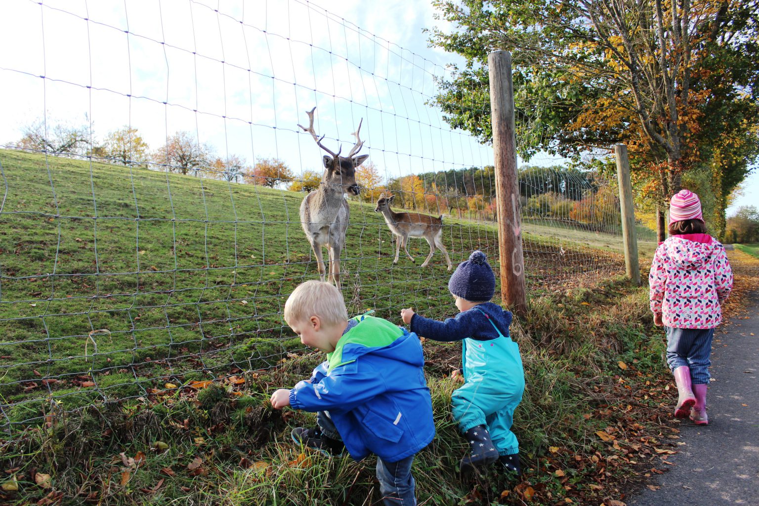 Schaukelweg Vestenbergsgreuth Franken mit Kindern